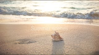 Summer scenes / シダイ