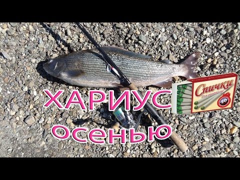 ловля ленка и хариуса в приморском крае