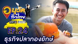 เปิดธุรกิจเงินล้าน ปลาทองยักษ์  | อนุวัตทั่วไทย | EP 24 | ข่าวช่องวัน | one31