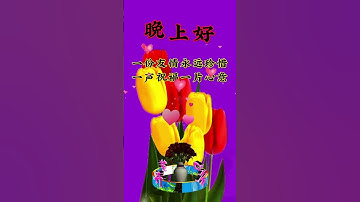 Thumbnail of 晚上好！你在我在缘在祝福在。#祝福 #晚安#晚上好#Dj#情歌#音乐分享#粉丝一千万#健康快乐每一天