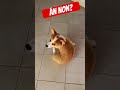 Ăn ngập mồm mới sướng? #dautuchungkhoan