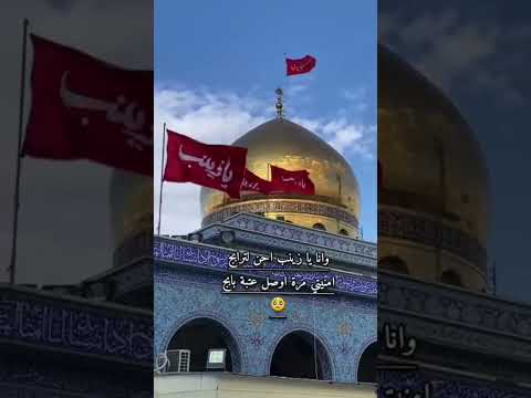 وانتي تجبرين كسري يازينب دخيلچ مولاتي متباركين ولادة السيده زينب الكبرى ع