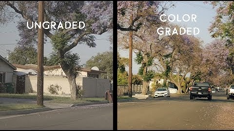 How to Color Grade C Log Footage from the Canon EOS R & Atomos Ninja V (10-bit)