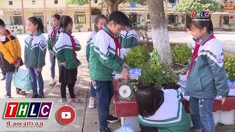 Phong trào lớn hiện nay của đoàn là gì năm 2024