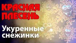 Красная Плесень - Укуренные снежинки | Лучшие песни