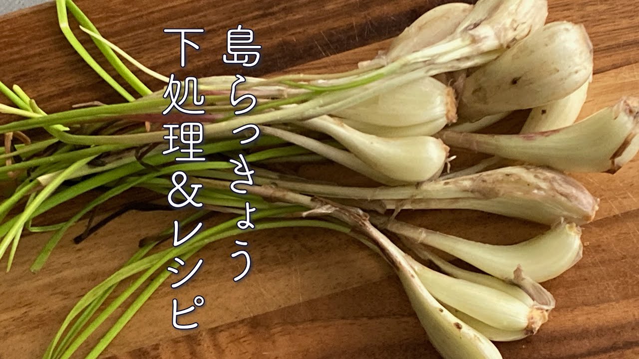 島 らっきょう 食べ 方