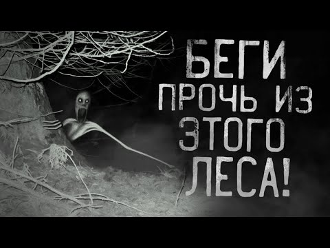 БЕГИ ПРОЧЬ ИЗ ЭТОГО ЛЕСА! Страшные истории на ночь.Страшилки на ночь.
