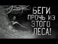 БЕГИ ПРОЧЬ ИЗ ЭТОГО ЛЕСА! Страшные истории на ночь.Страшилки на ночь.