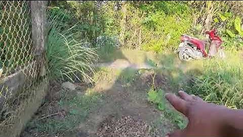 Bán đất lúa Thuộc xã Tân ân cần đước Long An " gần trường học, chợ, xã, đường xe hơi"