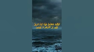 سورة البقرة اية 100 - مع صوت البحر بصوت جميل - أَوَكُلَّمَا عَاهَدُواْ عَهْدًا نَّبَذَهُ فَرِيقٌ