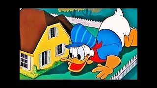 ᴴᴰ Pato Donald Y Chip Y Dale Dibujos Animados - Pluto, Mickey Mouse Episodios Completos Nuevo 2018