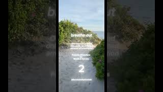 How I Manifested 10 Dream Clients Overnight