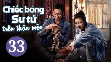 CHIẾC BÓNG SƯ TỬ TRÊN THÂN MÈO - Tập 33 | Phim Ngôn Tình Lãng Mạn Mới Nhất | iQIYI Phim Thuyết Minh