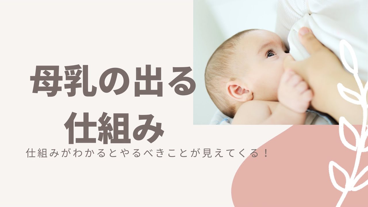 母乳育児の利点を発見する