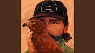 Hawk Circling