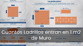Como calcular cantidad o número de ladrillos en 1 m2 de muro en Archicad 26 screenshot 5