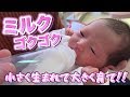 頑張ってミルクを飲む赤ちゃんにパパはデレデレ