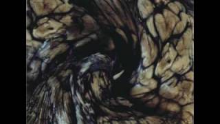 La Cabeza - La Castañeda- Glogo Negro (11995).wmv