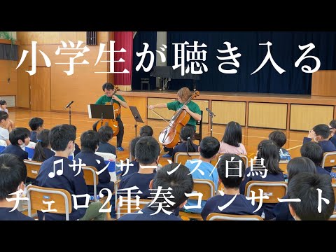 急に200人の小学生の前でプロのチェロ奏者達がサンサーンス“白鳥”を弾いたら体育館がエレガントな雰囲気に...【ストリートチェロ】