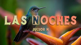 Junior H - LAS NOCHES