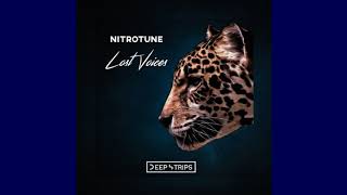 Nitrotune - Lost Voices (Original Mix)