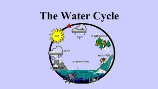 Meteorology: The Water Cycle