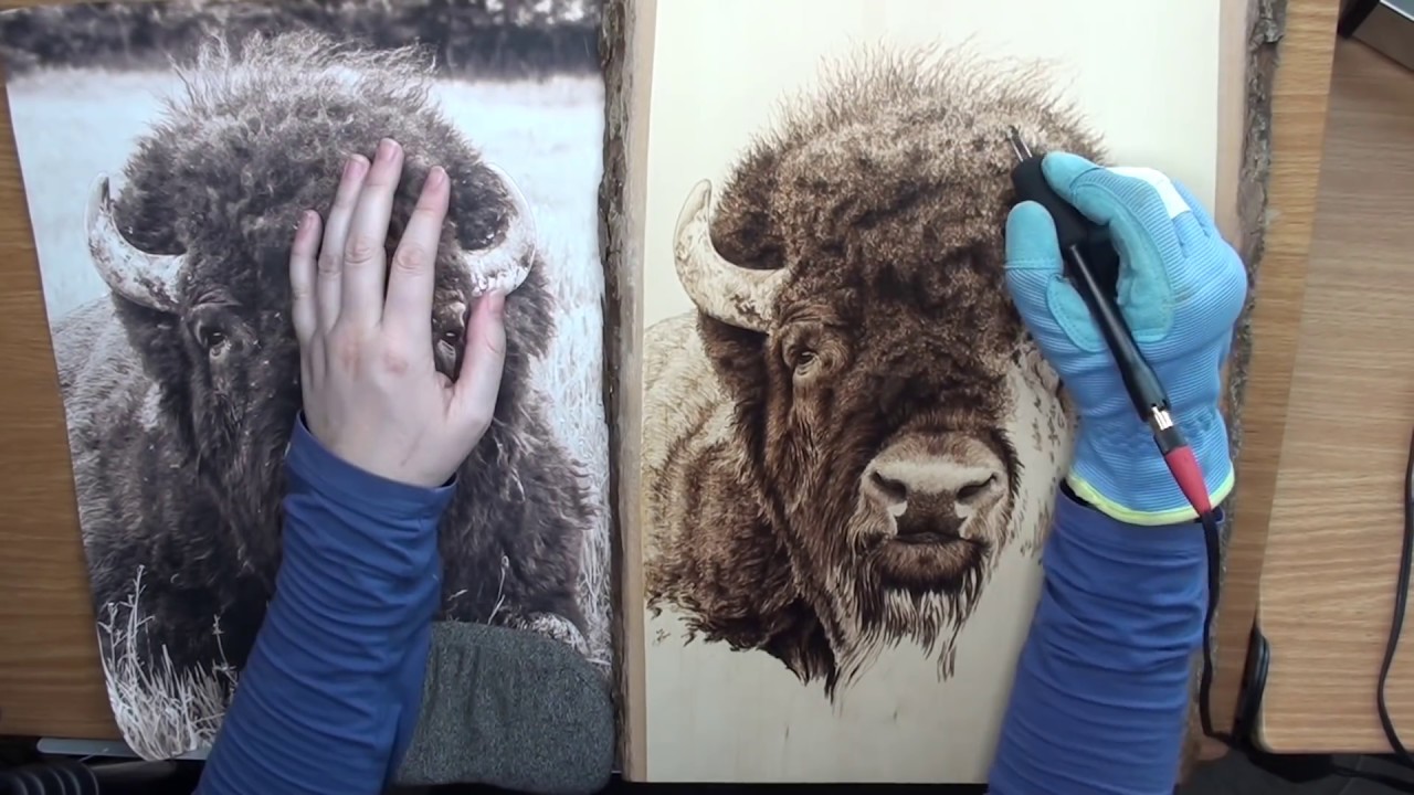 PYROGRAPHY: Wood burning a bison portrait