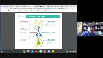 Understanding Thyroid Hormone Conversion