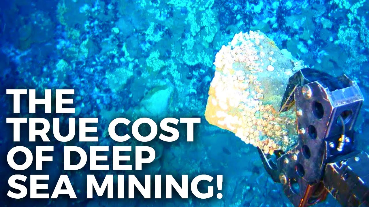 Is Deep Sea Mining the Future? - YouTube