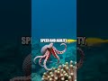 The Secret World of Marine Predation: An Octopus's Tale
