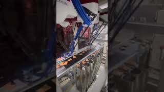 Automatic Sortingpick And Place Of Seasoning Sachet In Instant Food, Like Instant Noodle, Etc.