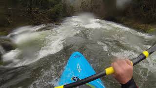 Lower upper upper Calapooia Jan 2020