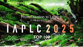 Months of Work for One Photo: The Art of Contest Aquascaping - IAPLC 2025 TOP 100
