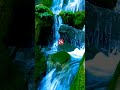 Amos 5v24 But let justice roll down like waters, and righteousness like an ever-flowing stream