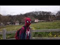 スパイダーマン（牧場よこ移動）こどもの国2019　Spiderman Zentaiアメコミゼンタイヒーローコスプレ