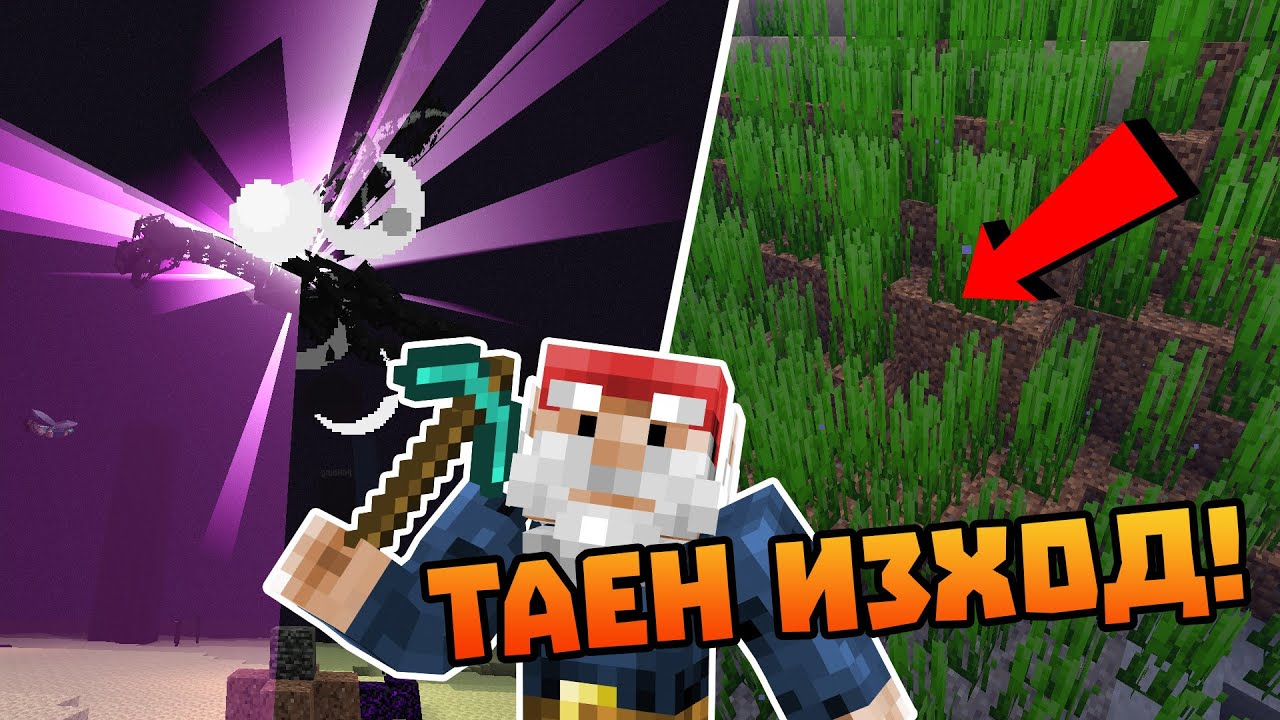 Какво се случва в ПОЛЯНАТА?!