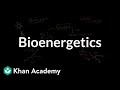 Understanding Photosynthesis and Cellular Respiration