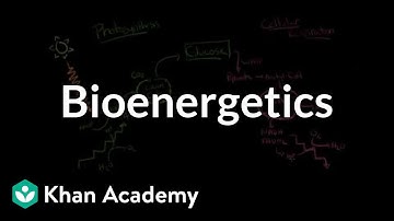 Bioenergetics: The transformation of free energy in living systems | MCAT | Khan Academy