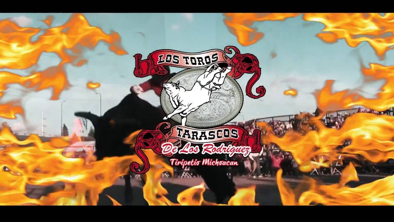 Jaripeo Ranchero & Guerra De Bandas PLaza De Toros De Rio Linda YouTube