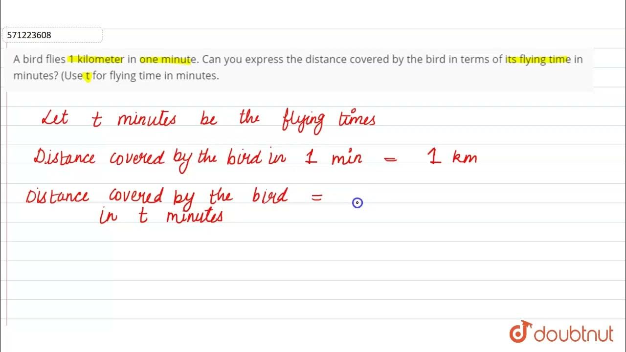 a-bird-flies-1-kilometer-in-one-minute-can-you-express-the