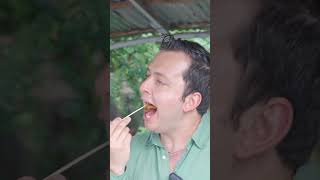 Mercados, chicharrones y restaurantes en Santo Domingo 🇩🇴