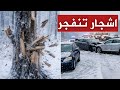 عاجل | الأشجار تنفجر كالرصاص في أمريكا ونيويورك تدخل نفق الرعب بسبب القنبلة العصرية الآن