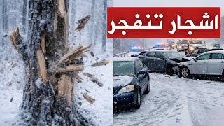 عاجل الأشجار تنفجر كالرصاص في أمريكا ونيويورك تدخل نفق الرعب بسبب القنبلة العصرية الآن