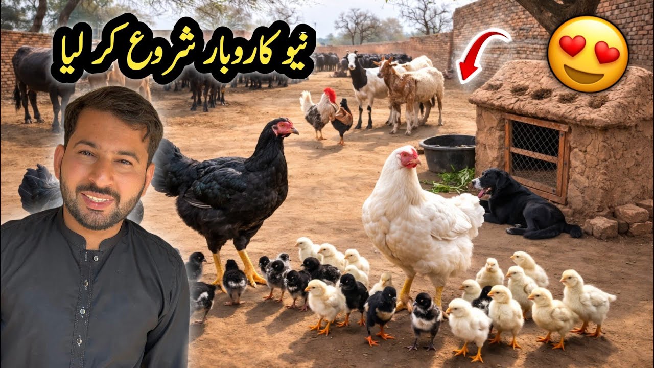 Humne Niya Business Start Krlia 🙏😍 | Village Business Vlog | Shazyy Vlog 