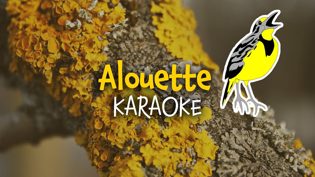 Alouette (Karaoke) | Instrumental Video with Lyrics for kids (paroles)