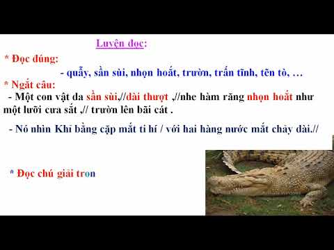 Tập đọc 2 - Tuần 24: Quả tim khỉ