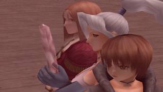 幻想水滸伝 4 美女攻撃