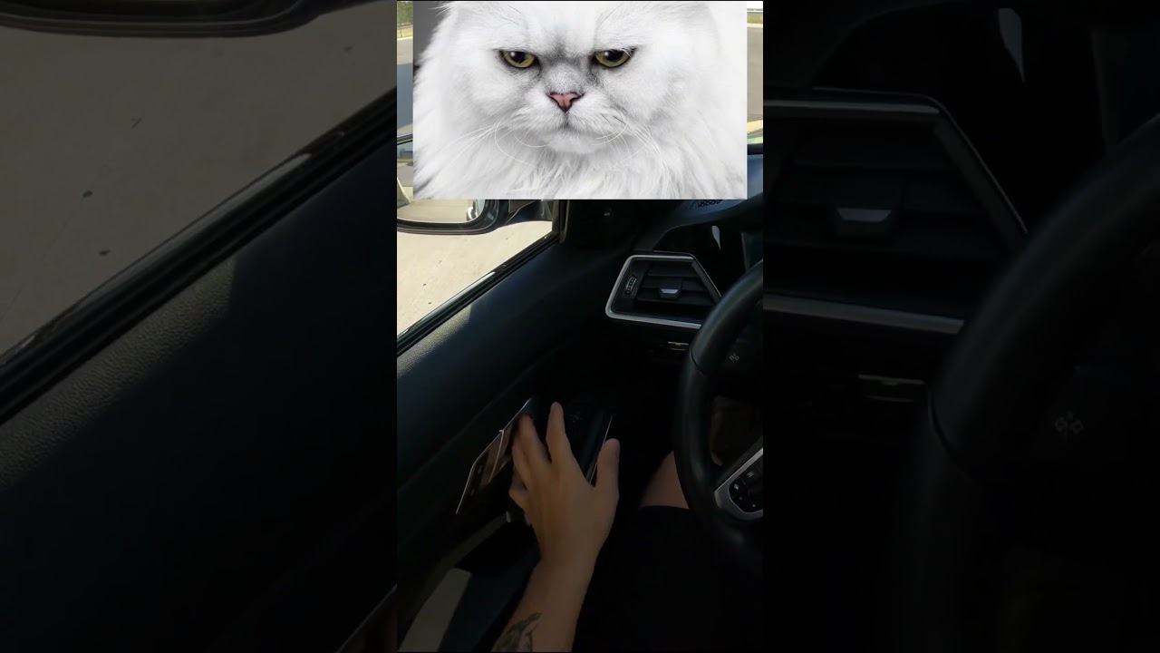 Ballert euch das ganze Video rein!🔥🔥 #bmw #automobile #germany #cartok #funny #mindset #memes