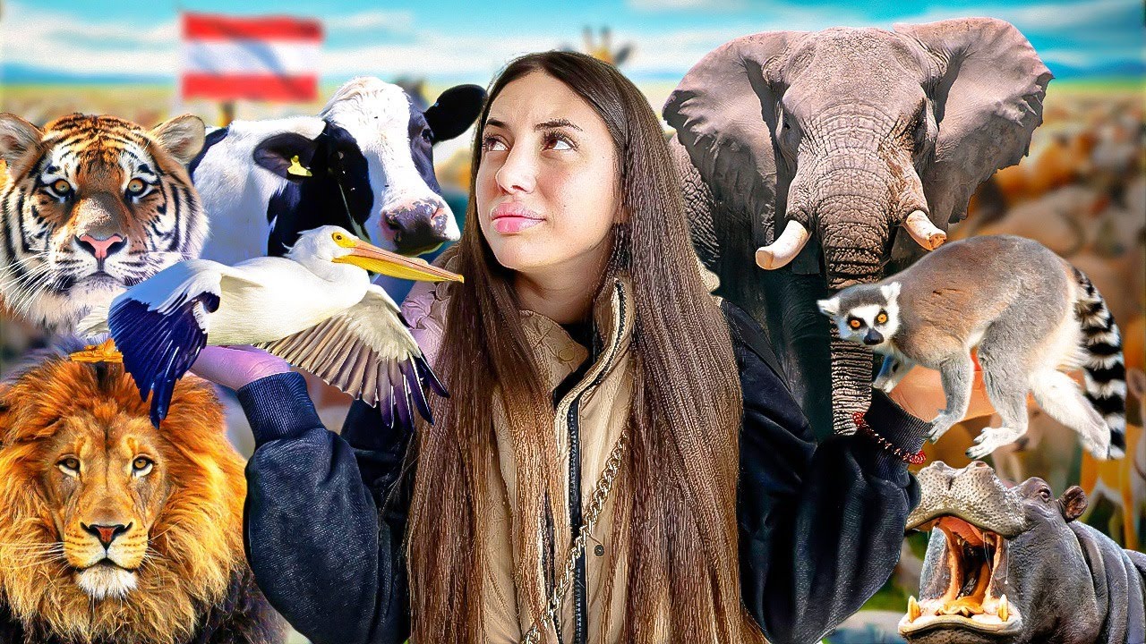 Am Vizitat Cea Mai Veche Gradina Zoo Din Lume / Printesa Sissi A Fost Asasinata ? 😮