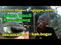 Suasana di kebun kamcijulangkabbogordusunbogor